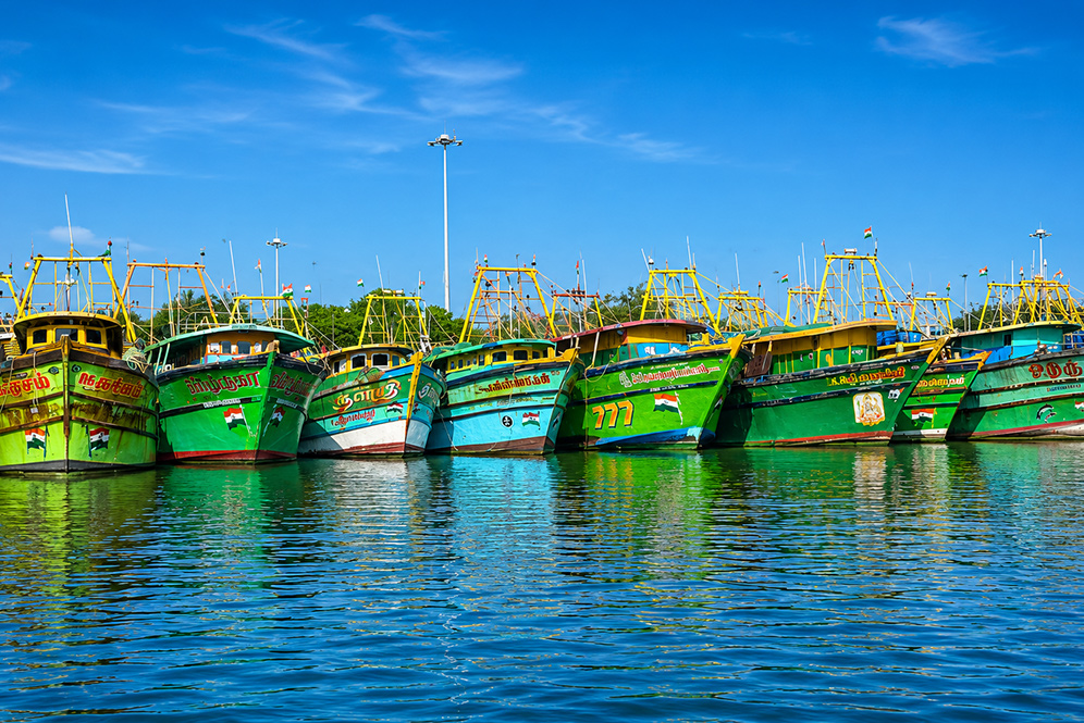 Fishing Harbour Boating